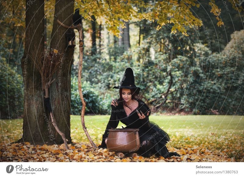 alles bio! Karneval Halloween Mensch feminin Frau Erwachsene 1 Umwelt Natur Herbst Schönes Wetter Baum Gras Herbstlaub Blatt Wiese Wald Waldlichtung Hut Kessel