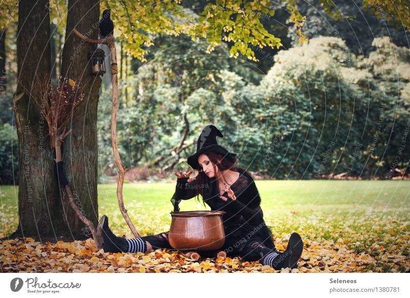 Hexengebräu Karneval Halloween Mensch feminin Frau Erwachsene 1 Umwelt Natur Herbst Baum Blatt Garten Park Hut gruselig Hexenkessel Kessel Karnevalskostüm