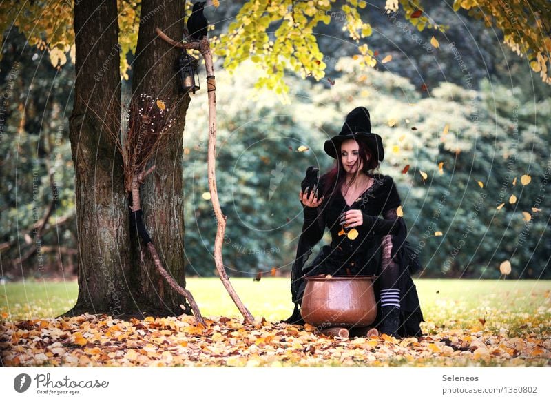 Halloween is coming Mensch feminin Frau Erwachsene 1 Herbst Schönes Wetter Baum Blatt Garten Park Wald Hut Hexe Hexenbesen Kessel Farbfoto Außenaufnahme