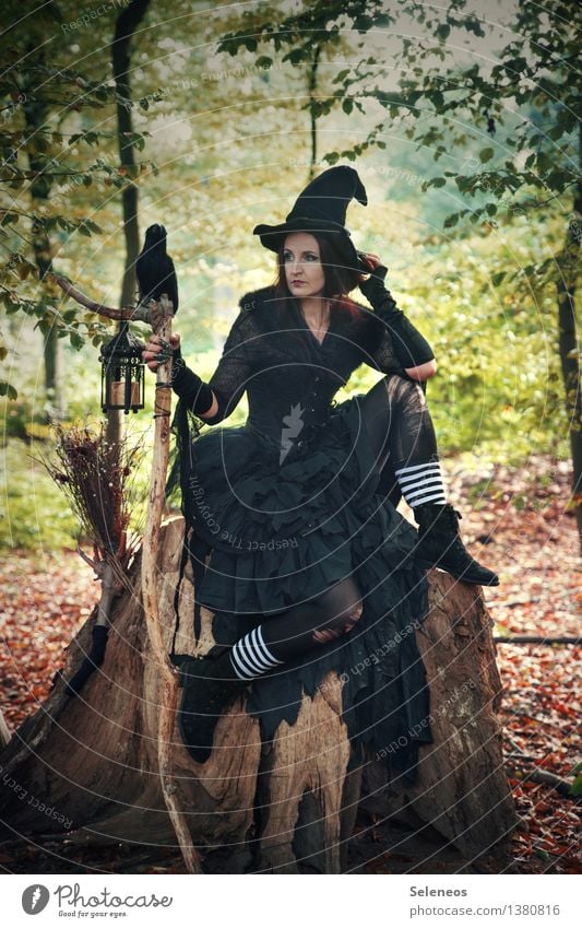 Halloweenzeit Feste & Feiern Mensch feminin Frau Erwachsene 1 Subkultur Rockabilly Veranstaltung Herbst Baum Wald Hut Rabenvögel gruselig verkleiden Hexe