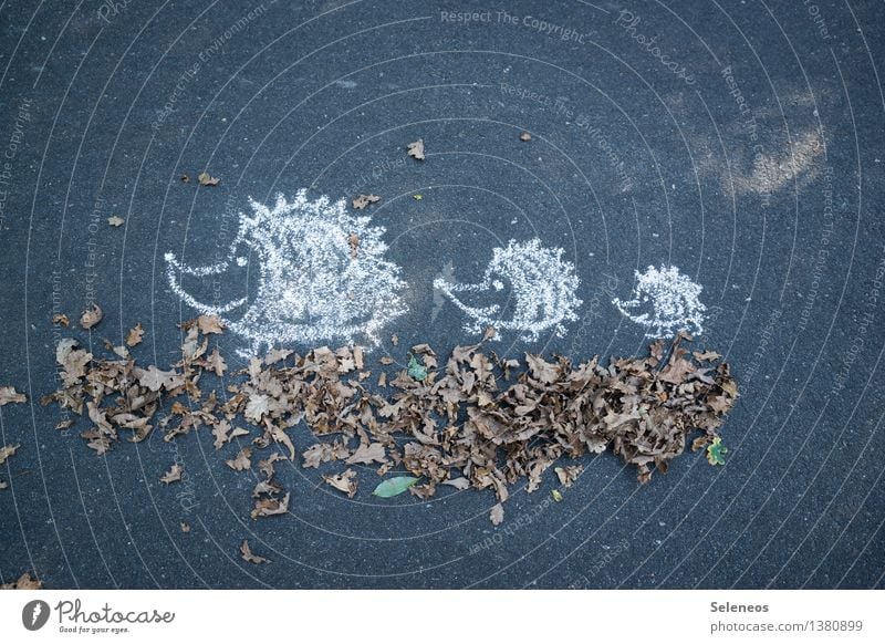 Herbstspaziergang wandern Umwelt Natur Blatt Straße Wege & Pfade Tier Wildtier Igel Tierfamilie Kreide Zeichen Fröhlichkeit Spaziergang Farbfoto Außenaufnahme