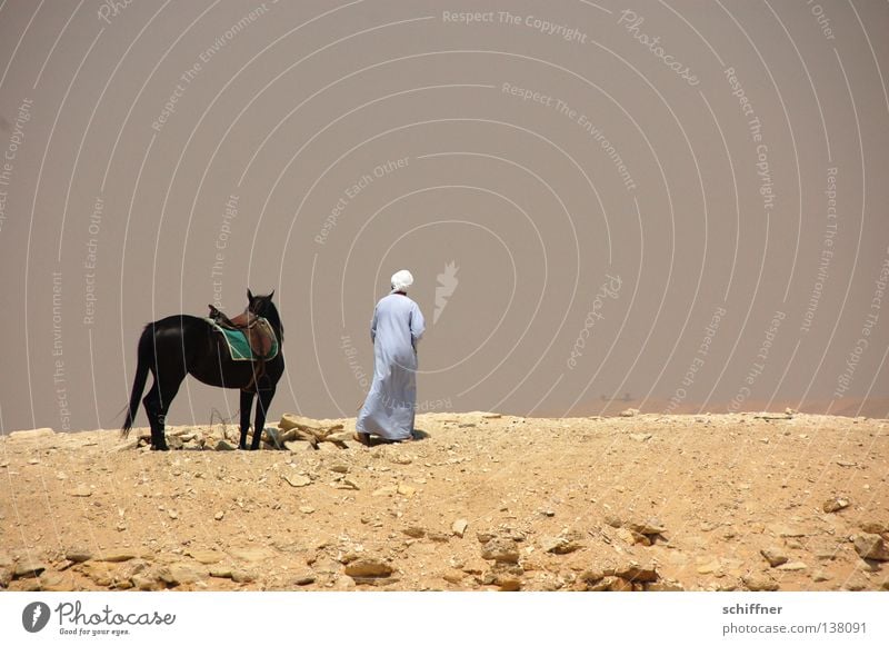 Getrennte Wege Ödland Trennung Einsamkeit Beduinen Pferd Ägypten Afrika Wüste Sand sich trennen alleine lassen Weg ins Ungewisse Zurückbleiben Wüstenmensch