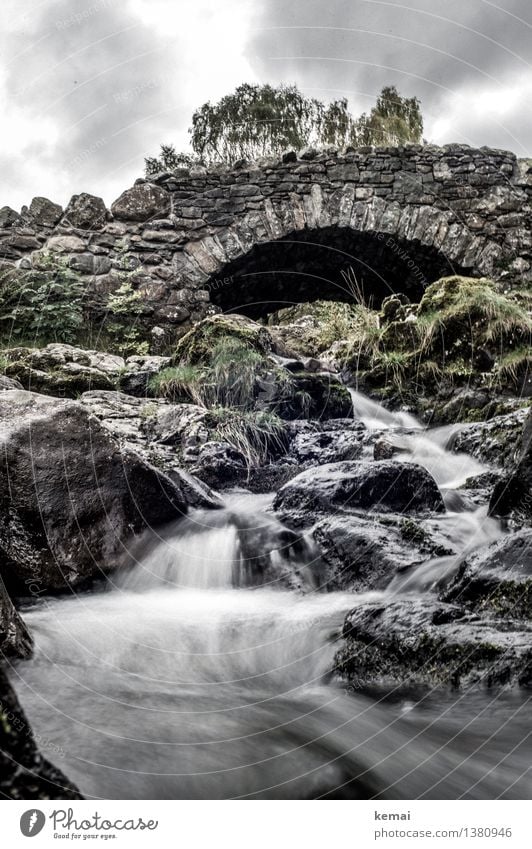 Under the bridge Ausflug Abenteuer Umwelt Natur Landschaft Wasser Wolken Herbst Moos Felsen Bach Fluss Wasserfall England Brücke Steinbrücke alt authentisch