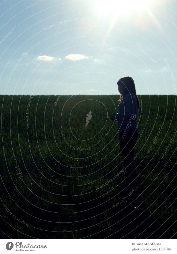 Solang' die Sonne scheint Schatten Sonnenstrahlen Freude Zufriedenheit Himmel Wolken Schönes Wetter Gras Feld genießen Kraft Frieden Sonntag Sonnenstraheln