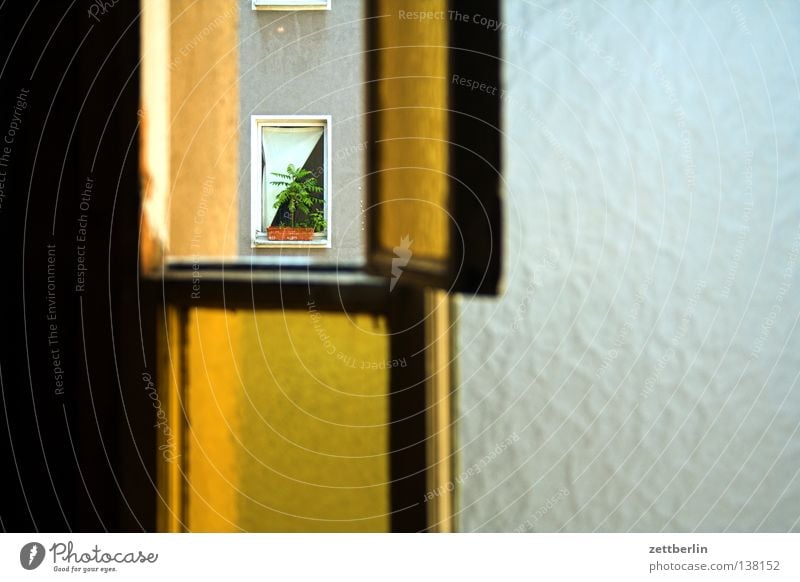 Fenster Riffelglas durchsichtig Haus Stadthaus Hinterhof Flur Treppenhaus Gardine Zimmerpflanze Luft lüften Glas Fensterscheibe Plattenbau seitenflügel Rahmen