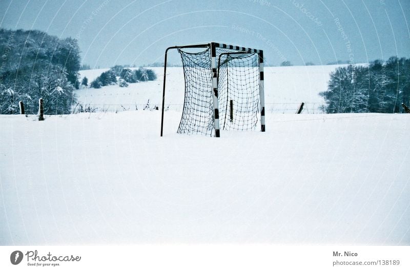 Handballtor im Schnee Fußballplatz Spielfeld frieren kalt Winter weiß Sträucher Baum Fußballtor Einsamkeit Ballsport leer eckig das runde muß ins eckige