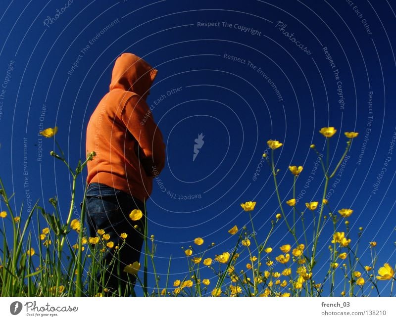 müssen Pflanze Blume Blüte Mann Gras Wiese Feld Jahreszeiten Sommer Rind Frühling Landwirtschaft Ackerbau Ereignisse Halm Stengel Kapuze Pause Futter