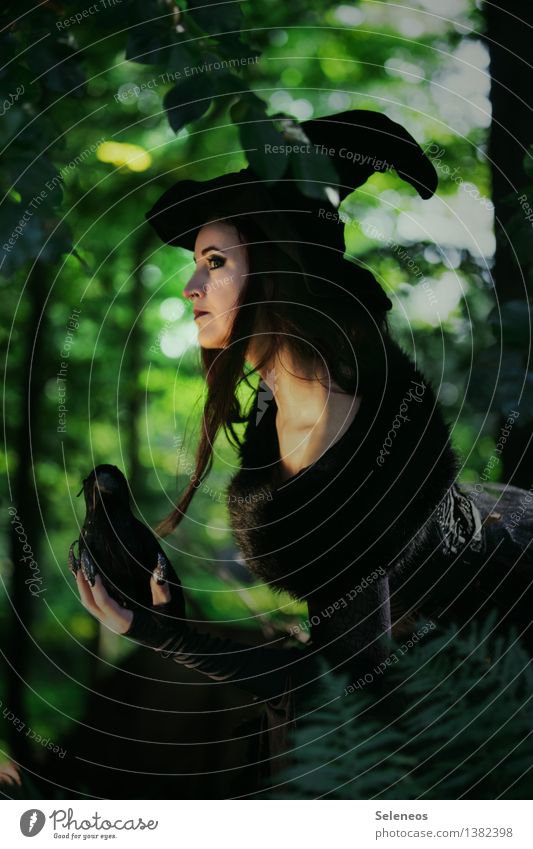 Gifthexe Karneval Halloween Mensch feminin Frau Erwachsene 1 Umwelt Natur Baum Wald Stola Hut Vogel Tier gruselig Hexe Karnevalskostüm Farbfoto Außenaufnahme