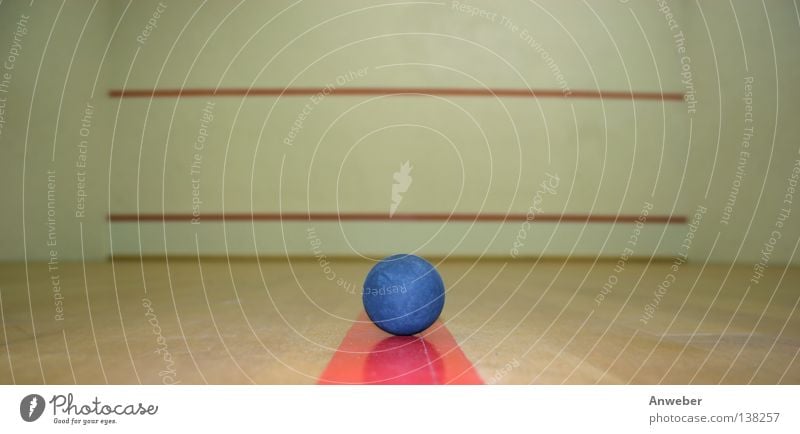 Squashball in einem leeren Spashcourt Sporthalle Spielen Sportveranstaltung Hintergrundbild Dinge rot Ballsport Rechteck Gebäude Innenaufnahme Wand Stillleben