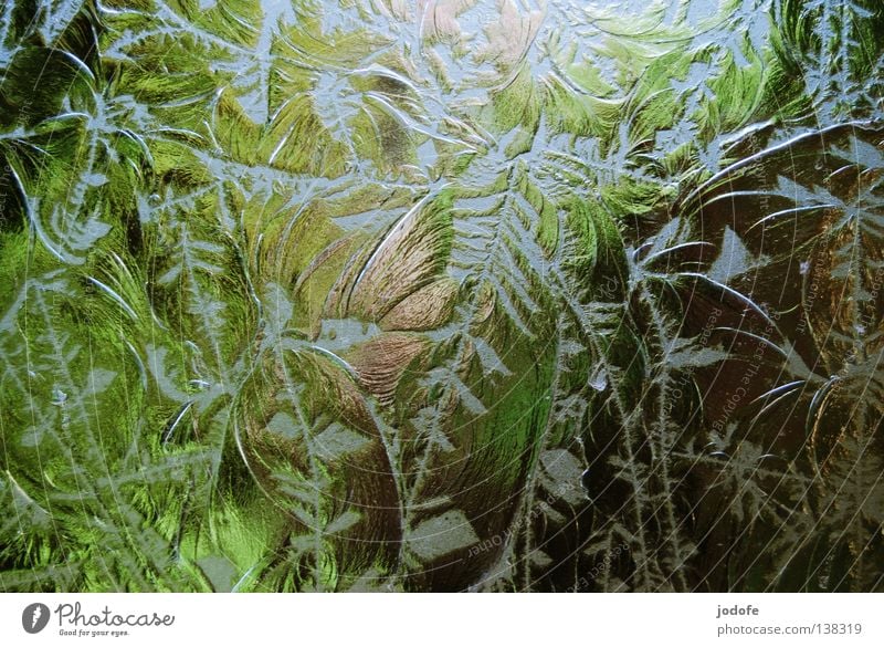 Fensterscheibe II beschriften durchsichtig Sichtschutz Bad Park grün Baum Blume Schnörkel verziert Farbverlauf Unschärfe gebrochen brechen Licht Milchglas