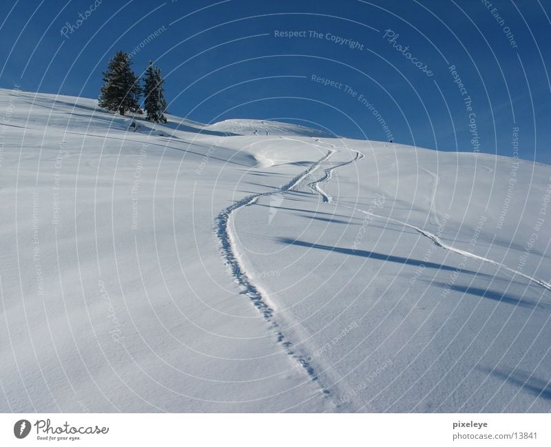 Into the snow pandemonium Loipe Tanne Berge u. Gebirge Schnee Landschaft Skifahren Himmel