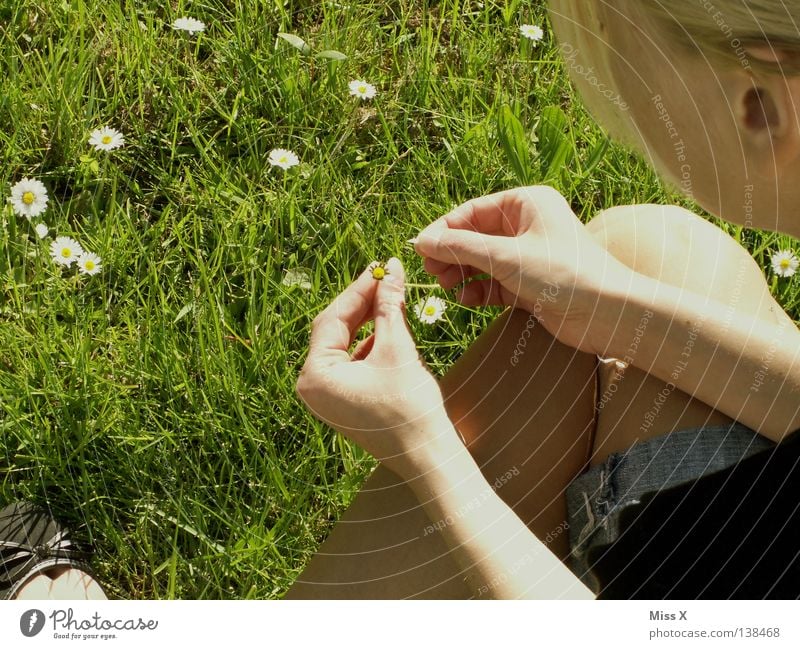 Dein Foto wurde....bestätigt....nicht bestätigt.....bestätigt... Farbfoto Außenaufnahme Frau Erwachsene Frühling Blume Gras Blüte Wiese blond Denken träumen