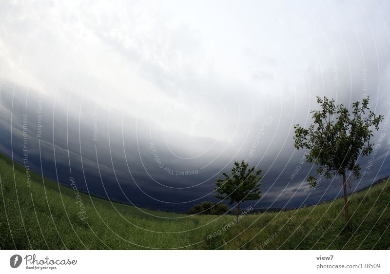 ein Sturm wird kommen... Unwetter Baum Sträucher Wiese Feld Erscheinung Regen Wind Leidenschaft Obstbaum Naturgewalt dunkel zuziehen Wolken Landwirtschaft