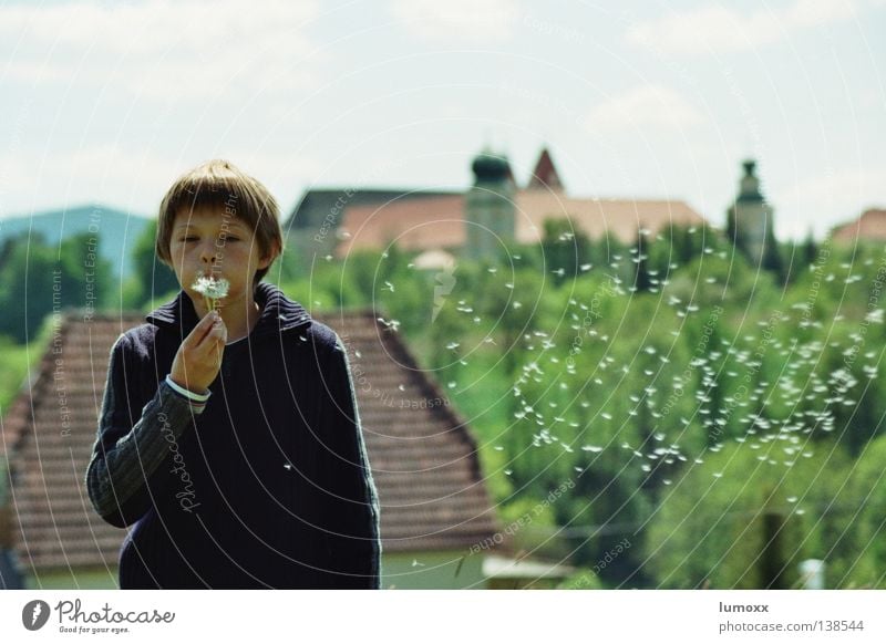 Löwenzahn II Farbfoto Außenaufnahme Tag Totale Oberkörper Freude Freiheit Haus Kind Mensch maskulin Junge Kindheit 1 8-13 Jahre Natur Wolken Frühling Wind Blume