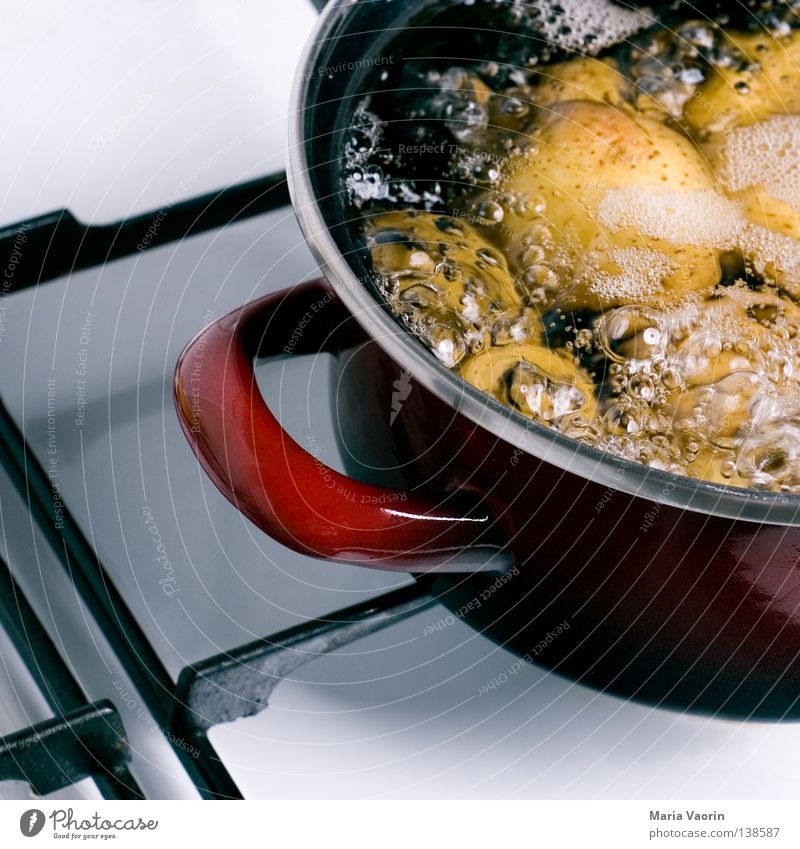 Alleine Kochen ist doof kochen & garen Topf Abendessen Mittagessen Nachtschattengewächse Beilage heiß Herd & Backofen Physik Küche Gastronomie