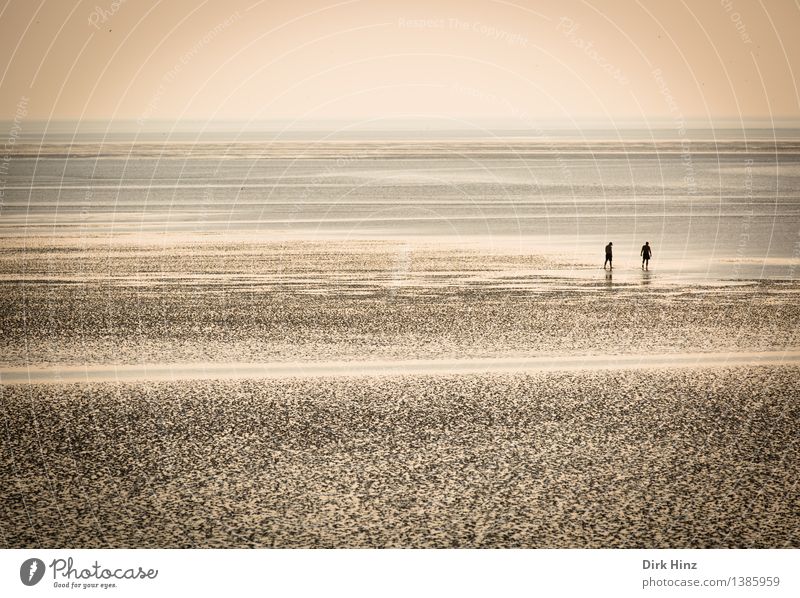 Wattenmeer bei Friedrichskoog (SH) Erholung Ferien & Urlaub & Reisen Tourismus Ausflug Ferne Freiheit Sommer Sommerurlaub Meer 2 Mensch Umwelt Natur Landschaft