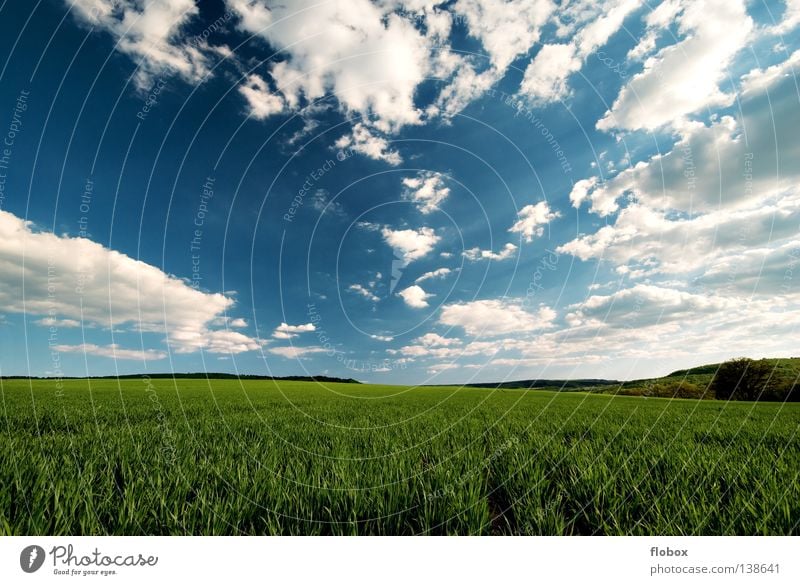 It's a beautiful day! Feld Natur Landschaft Wolkenhimmel Wolkenfeld Wolkenformation Menschenleer grün himmelblau Ackerbau Ferne Zentralperspektive Weitwinkel