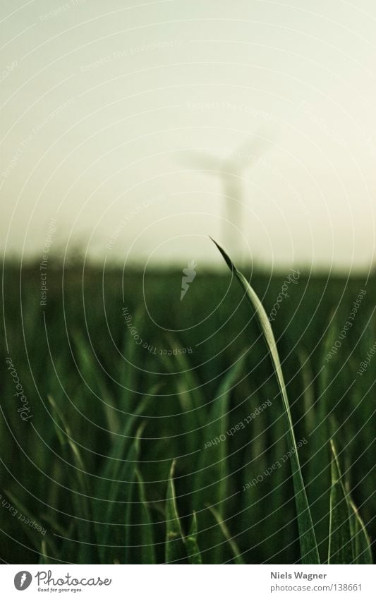 Grashalm Halm Wiese grün Feld Unschärfe Sommer Windkraftanlage Himmel