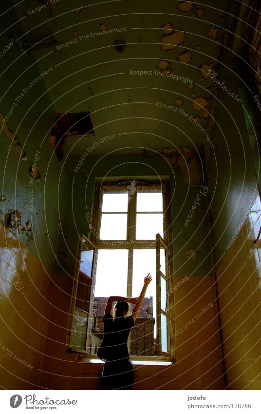 Guten Morgen... Raum Fenster Frau feminin Mensch grün offen aufwachen Rückansicht Hinterkopf Fensterrahmen Licht Sonnenlicht hell Gebäude Gemäuer verfallen