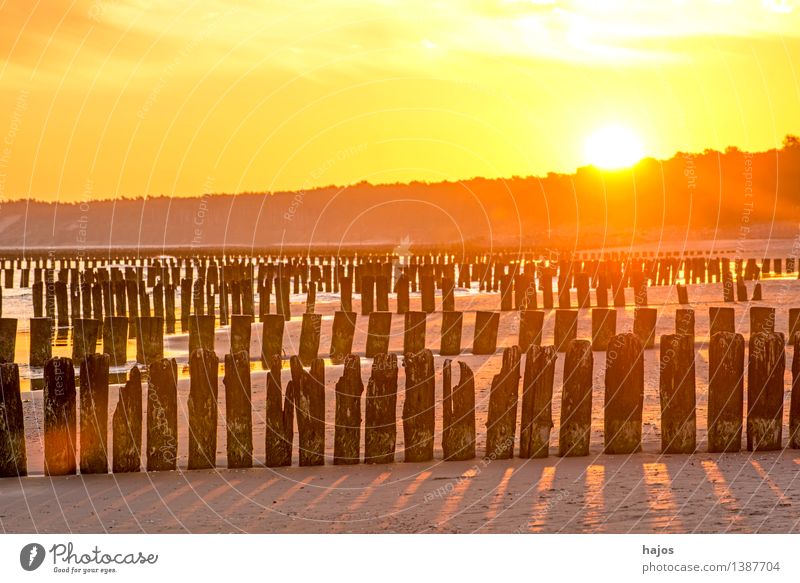 Sonnenaufgang an der Ostsee mit Buhnen Freizeit & Hobby Ferien & Urlaub & Reisen Strand Meer Natur Wasser alt dunkel hell historisch gelb rosa rot schwarz