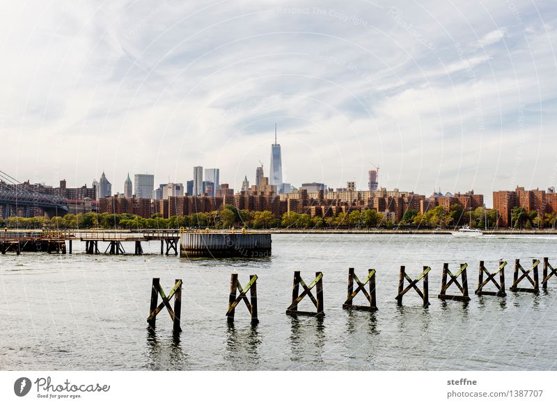 Großstadtidyll Natur Flussufer Manhattan New York City Brooklyn USA Stadt Skyline Haus Hochhaus Idylle East River Schönes Wetter Farbfoto Außenaufnahme