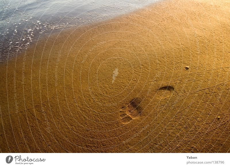 one small step for man … Zehen Meer Strand Freizeit & Hobby Küste Sommer Ferien & Urlaub & Reisen Fußspur Relief Spuren Erde Sand Vergänglichkeit Wasser Salz