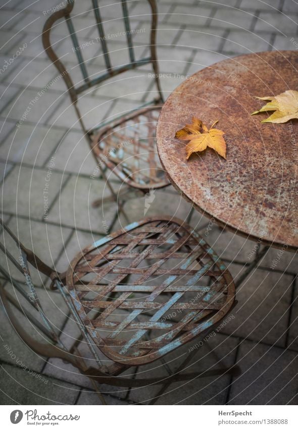 Outdoorzeit is over Häusliches Leben Stuhl Tisch Herbst Blatt Terrasse alt trashig trist shabby-chic Rost Herbstlaub Herbstfärbung Sitzgelegenheit Menschenleer