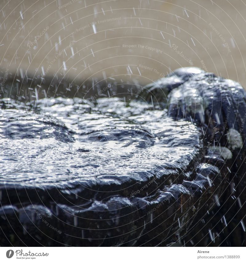 Silberquell Urelemente Wasser Wassertropfen glänzend silber spritzen tropfend Tropfen fliegen Brunnen Wasserbecken Quelle Klarheit rein hell frisch Farbfoto