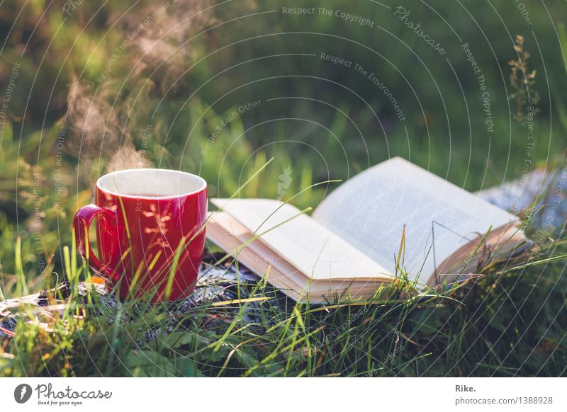 Auszeit. Getränk trinken Heißgetränk Tee Tasse Gesundheit Gesunde Ernährung Wohlgefühl Erholung ruhig Natur Herbst Schönes Wetter Pflanze Baum Gras Garten Wald