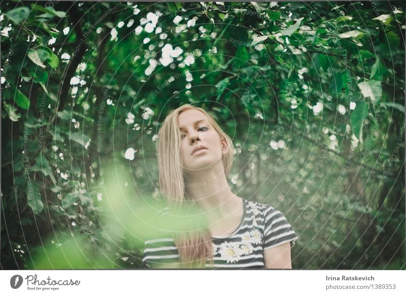 Frühling im Wald Junge Frau Jugendliche Körper Kopf Haare & Frisuren Gesicht 1 Mensch 18-30 Jahre Erwachsene Natur Landschaft Pflanze Baum Blatt Mode Bekleidung