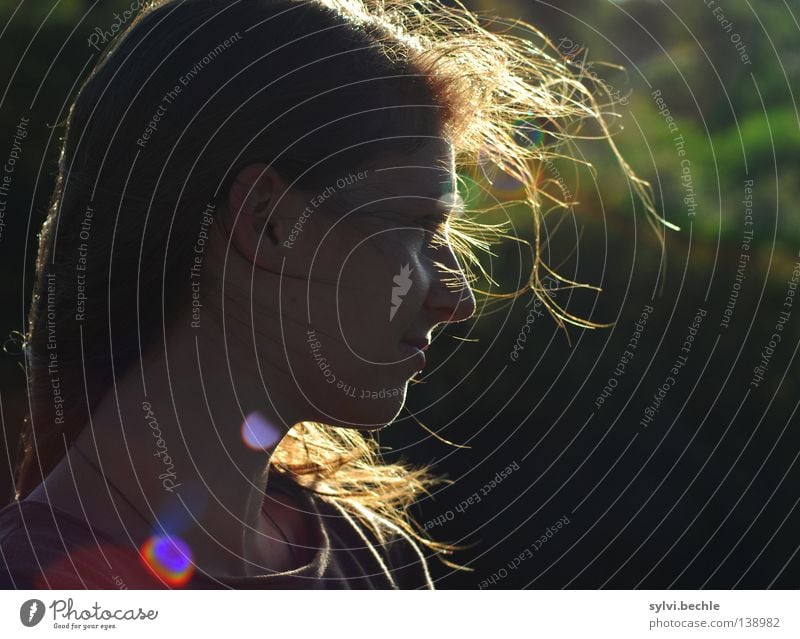 vom winde verweht Farbfoto mehrfarbig Außenaufnahme Textfreiraum rechts Abend Licht Schatten Kontrast Reflexion & Spiegelung Lichterscheinung Sonnenlicht