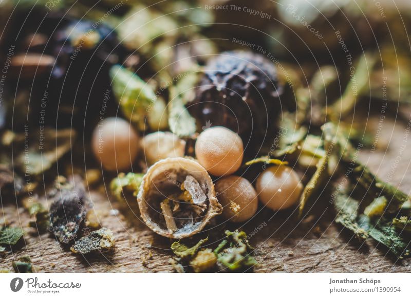 Gewürzmischung III Lebensmittel Kräuter & Gewürze Ernährung Gesunde Ernährung Essen Foodfotografie ästhetisch lecker genießen kochen & garen Koriander