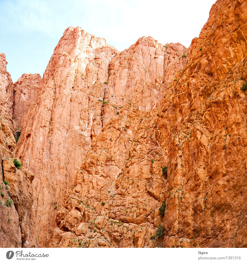 o Afrika und Fluss Sommer Berge u. Gebirge Landschaft Pflanze Sand Himmel Horizont Klima Baum Hügel Felsen Oase Dorf Gebäude alt Armut blau braun gelb Farbe