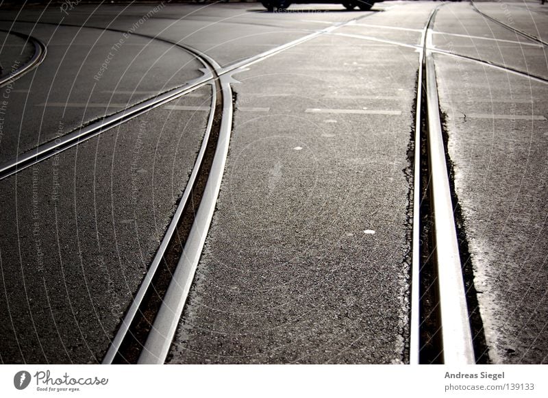 Zwischen den Spuren Dresden Gegenlicht Gleise Asphalt Straßenbahn Verkehr Fußgängerübergang Ampel Öffentlicher Personennahverkehr Verkehrswege PKW Mischung