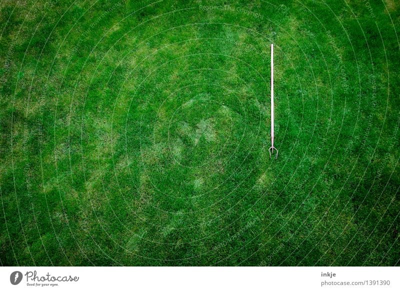 Super simple still life Gartenarbeit Werkzeug Natur Frühling Sommer Herbst Gras Wiese Gartengeräte Hacke Gartenkralle liegen saftig unten grau grün Beginn