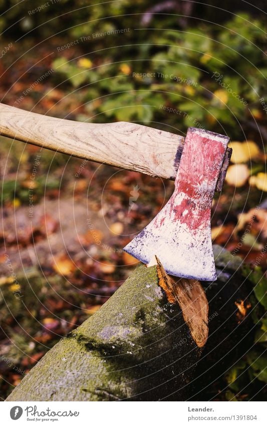 Axt II Umwelt Garten Urwald Arbeit & Erwerbstätigkeit machen ästhetisch braun grün rot Wald Baum fällen Herbst Holz Waldarbeiter Farbfoto Gedeckte Farben