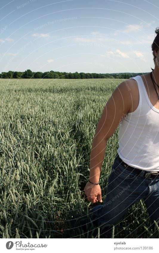 Feinripp Feld Landwirtschaft Roggen Weizen Hafer Hirse Sommer Horizont Schönes Wetter Ernährung Pflanze grün Holz Wachstum Naturwuchs Mann Bekleidung Hand Hose