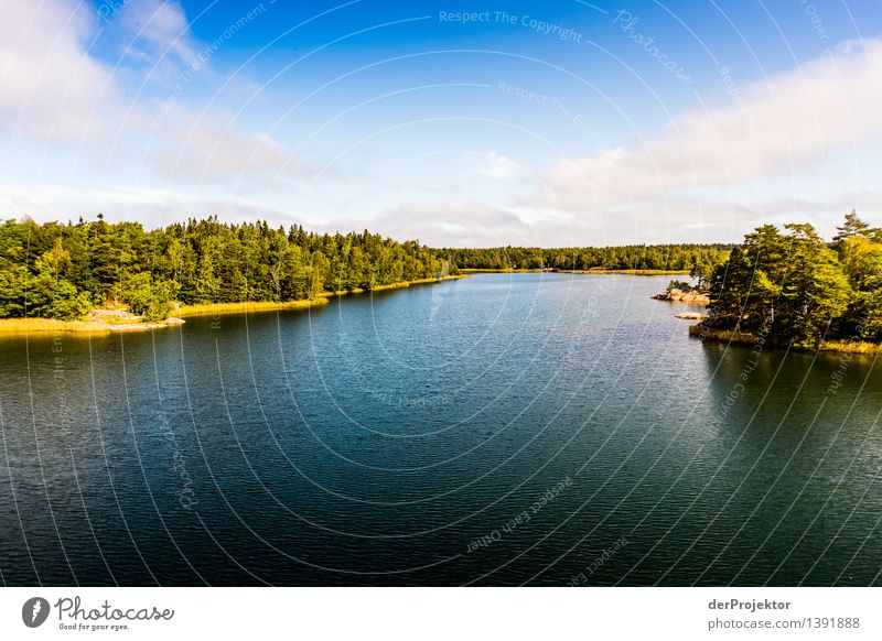 Sommer in den Schären bei Stockholm Ferien & Urlaub & Reisen Tourismus Abenteuer Ferne Freiheit Sommerurlaub Sonnenbad Umwelt Natur Landschaft Pflanze Tier