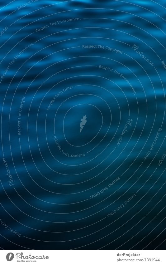 Blaue Wellen Ferien & Urlaub & Reisen Tourismus Ausflug Kreuzfahrt Sommerurlaub Sonnenbad Umwelt Natur Landschaft Pflanze Tier Urelemente Schönes Wetter Küste