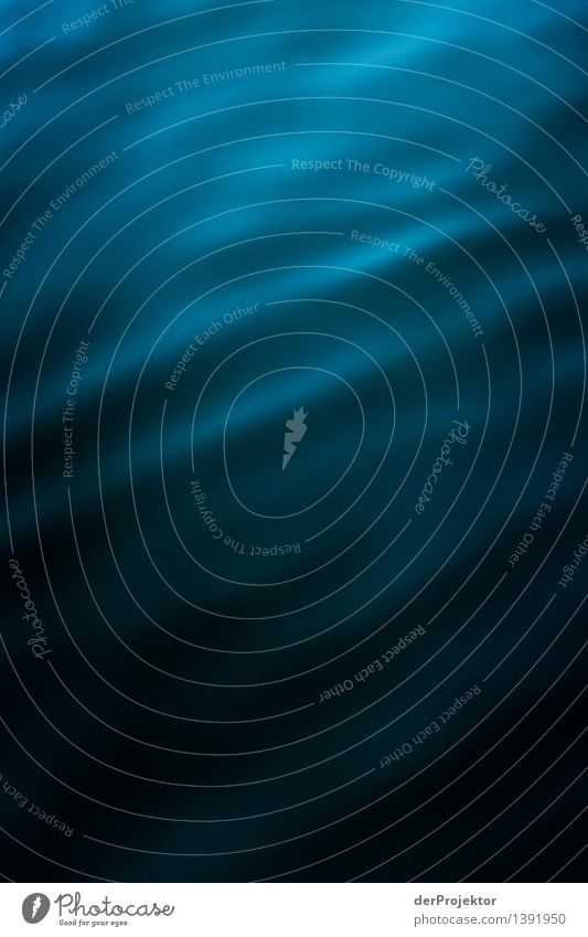 Blauer Verlauf Ferien & Urlaub & Reisen Tourismus Ausflug Kreuzfahrt Kunst Umwelt Natur Pflanze Tier Wasser Sommer Schönes Wetter Wellen Küste Ostsee ästhetisch