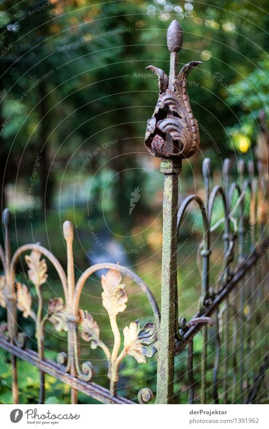 Ruhe hinterm Zaun Sightseeing Städtereise Umwelt Natur Pflanze Sommer Schönes Wetter Grünpflanze Garten Park Sehenswürdigkeit Traurigkeit Sorge Trauer Tod