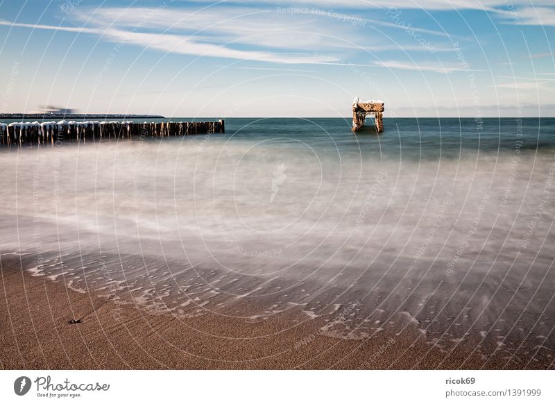 Buhne und Stegreste Ferien & Urlaub & Reisen Strand Meer Winter Natur Landschaft Wasser Wolken Wetter Küste Ostsee Ruine kalt Tourismus Rest Schnee Eis