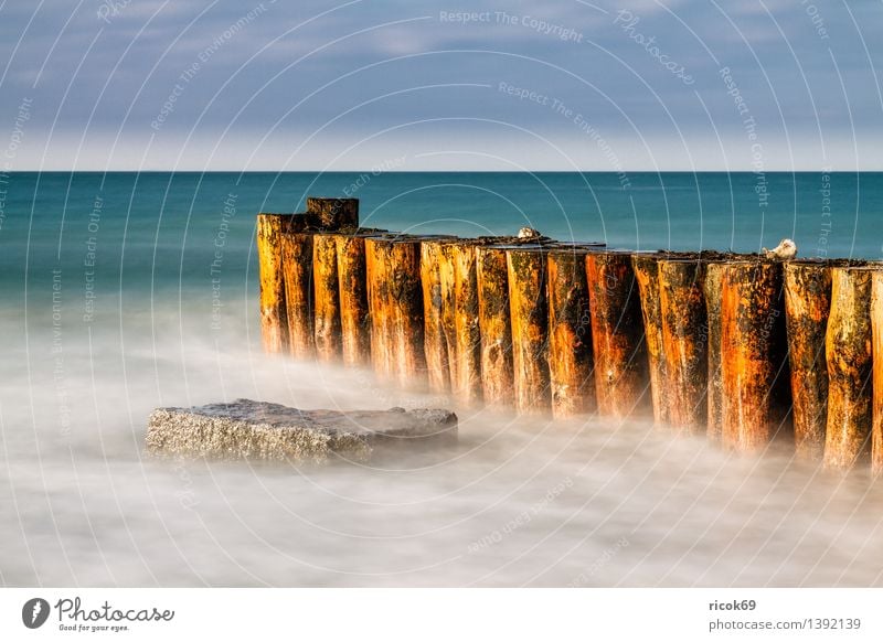 Buhne an der Ostsee Ferien & Urlaub & Reisen Strand Winter Natur Landschaft Wasser Wolken Wetter Felsen Küste Meer Stein kalt Tourismus Schnee Eis Wustrow