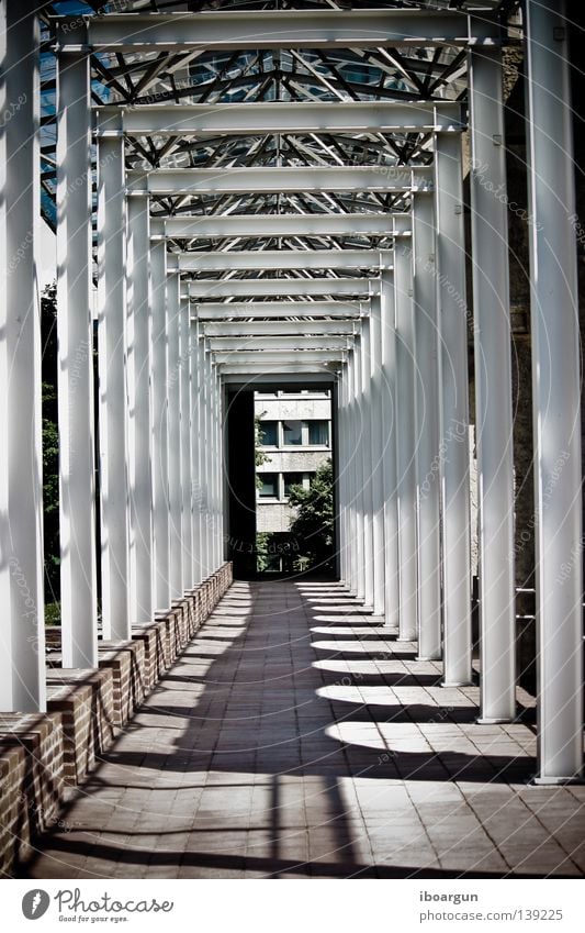 Englischer Garten München Licht Tunnel Schatten Stein Mauer Gang Architektur