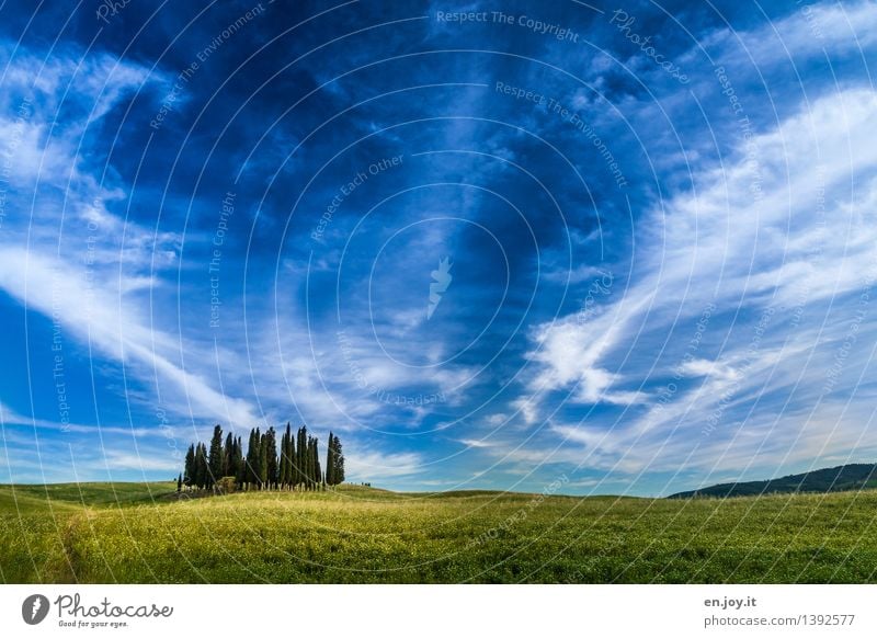 grüne Wiese Leben Ferien & Urlaub & Reisen Ausflug Ferne Sommer Sommerurlaub Umwelt Natur Landschaft Himmel Wolken Horizont Frühling Schönes Wetter Baum