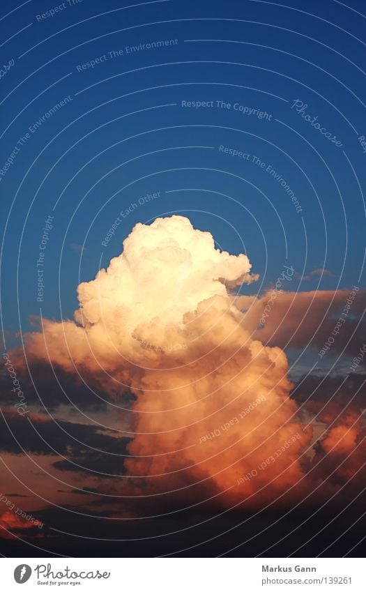 Gewitterwolke Wolken weiß Abendsonne rot Licht Kumulunimbus Kumulus Schwüle Sommer heiß Himmel Wetter blau capillatus Urwald