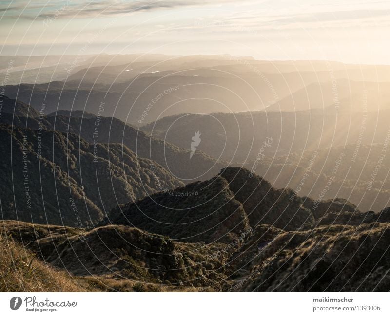 Neuseeland Gebirge im Sonnenuntergang harmonisch Erholung ruhig Duft Freizeit & Hobby Ferien & Urlaub & Reisen Tourismus Ferne Sommer Umwelt Natur Landschaft