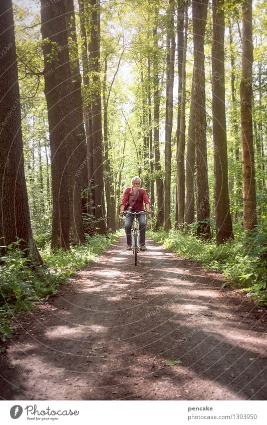 Mann fährt auf Fahrrad durch den Spreewald Mensch maskulin Erwachsene Leben 1 45-60 Jahre Frühling Wald Wege & Pfade Fahrzeug Bewegung Erholung Fitness