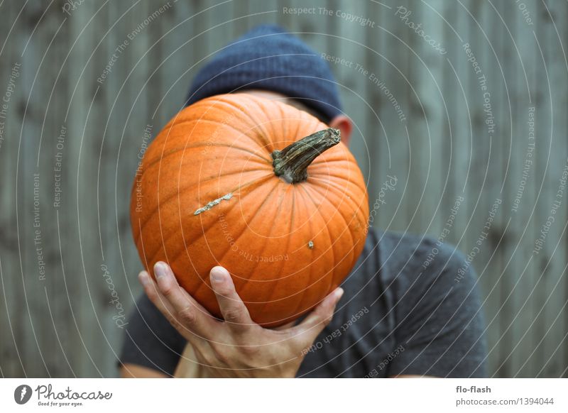 My Kürbis IV Gemüse Ernährung Bioprodukte Vegetarische Ernährung Lifestyle Sinnesorgane Erholung ruhig Freizeit & Hobby Erntedankfest Halloween Handwerker Koch