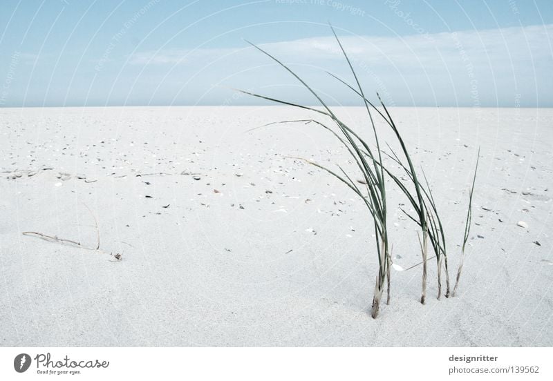 zarter Lebensretter Meer See Landkreis Friesland Ostfriesland Nordfriesland Spiekeroog Strand ruhig Erholungsgebiet Ferien & Urlaub & Reisen Freizeit & Hobby